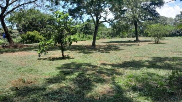 MLS-26-1028 LS VENTA FINCA OROTINA ALAJUELA  en Orotina, Alajuela — ₡ 80 000 000