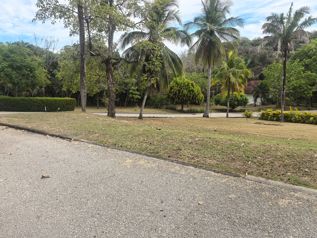 VENTA DE LOTE, GUANACASTE, HOJANCHA, CONDOMINIO LOMA VERDE en Hojancha, Guanacaste — $206,930 - Foto 4 de 11
