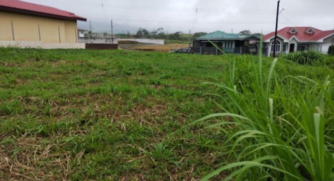 Terreno  en Quesada, San Carlos, Alajuela — $55,000