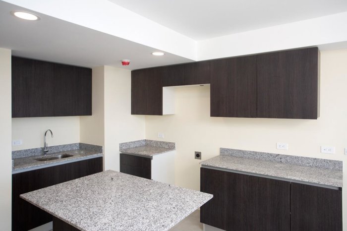 Apartamento en Alquiler en Los Yoses. Montes de Oca. PVV10192692 in San Pedro, Montes De Oca, San José — $1,200 - Photo 3 of 16