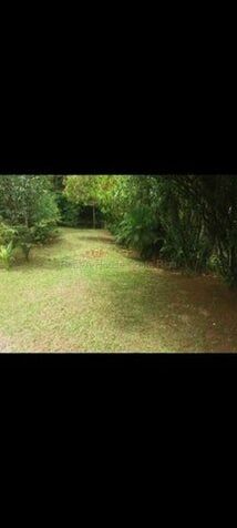 MLS-26-1955 KQ VENTA FINCA RIO CUARTO GRECIA CONTACTENOS AL # 88987222 en Grecia, Alajuela — $1,050,000