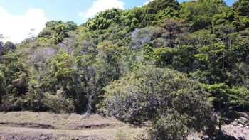 Venta de Finca + Cabaña en León Cortéz-Castro San Andrés, San José. RAH 26-1589 en San Andrés, León Cortés Castro, San José — 140 000 000 ₡ - Foto 5 de 15