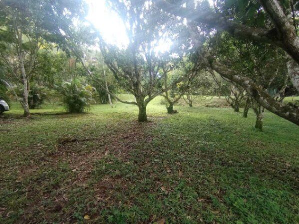 Venta de Lote en Mora, San José. RAH 26-420 in Jaris, Mora, San José — ₡ 120 000 000