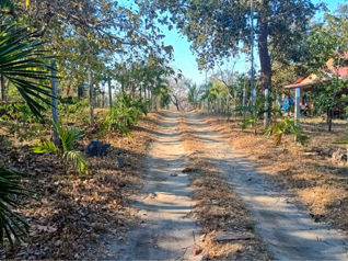 Lote en Curubandé, Guanacaste ** 2154 en Curubandé, Liberia, Guanacaste — 60 000 000 ₡ - Foto 5 de 13