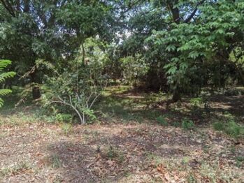 Venta de Lote en Brasil de Santa Ana. in Brasil, Santa Ana, San José — $164,580 - Photo 4 of 16