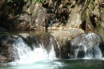 BELLÍSIMA Y ESPECTACULAR FINCA EN GOLFITO.  en Puerto Jiménez, Golfito, Puntarenas — 2 500 000 ₡ - Foto 4 de 14