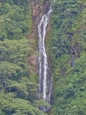 FINCA EN RÍO NUEVO DE SAVEGRE, UN PARAÍSO NATURAL EN EL CORAZÓN DEL PACÍFICO SUR DE COSTA RICA in Río Nuevo, Pérez Zeledón, San José — $300,000 - Photo 4 of 19