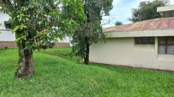 Se vende amplia propiedad con 2 hectáreas en Guadalupe San José 25-1767 en Guadalupe, Goicoechea, San José — $1,643,440 - Foto 5 de 21