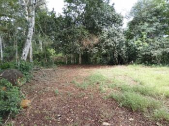 Lote en Las Juntas de Pacuar in Platanares, Pérez Zeledón, San José — 75 000 000 ₡ - Photo 4 of 6