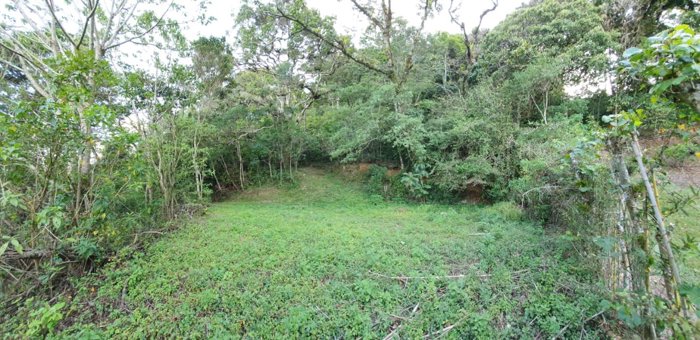 Un maravilloso terreno en la montaña in Tarbaca, Aserrí, San José — $147,000 - Photo 3 of 12