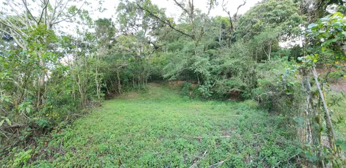 Un maravilloso terreno en la montaña en Tarbaca, Aserrí, San José — $147,000 - Foto 3 de 12
