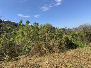 465,768m2 (116m2) con permisos para urbanizar en Atenas, Alajuela — $1,200,000 - Foto 3 de 9