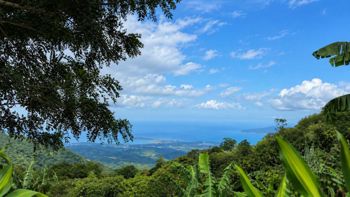 Finca en venta en San Ramón con vista al océano | 28.100 m² Magallanes in Santiago, San Ramón, Alajuela — 182 650 000 ₡ - Photo 2 of 12