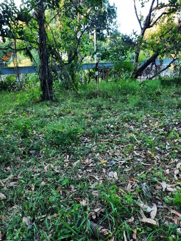 VENTA DE TERRENO 1000 M², SAN MATEO, ALAJUELA in Labrador, San Mateo, Alajuela — $55,000 - Photo 3 of 4