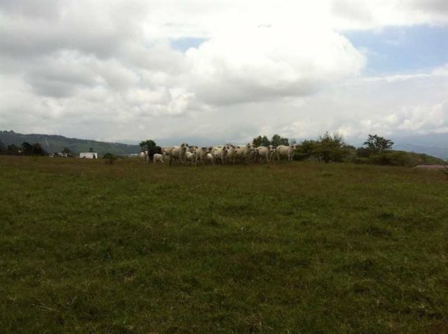 Terreno en Venta en Ochomogo Cartago, Industrial. 5PDC9271217 in San Nicolás, Cartago — $5,000,000 - Photo 2 of 15