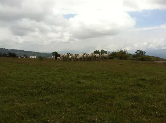 Land for Sale in Ochomogo Cartago, Industrial. 5PDC9271217 in San Nicolás, Cartago — $5,000,000 - Photo 2 of 15