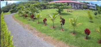 SE VENDE BELLA PROPIEDAD CON 2 CASAS EN SARAPIQUÍ.  in Las Horquetas, Sarapiquí, Heredia — 120 000 000 ₡ - Photo 4 of 13