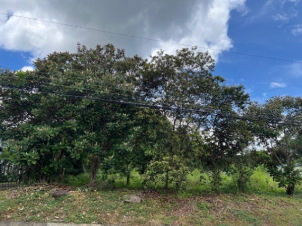 Lote en venta plano con acceso a calle principal en Turrubares #26-1314 GS en San Pablo, Turrubares, San José — $60,000