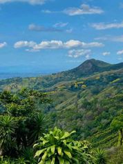 Hermosa Finca en Venta – Llano Brenes, San Ramón en San Rafael, San Ramón, Alajuela — $354,000 - Foto 3 de 29