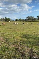 Farm For Sale El Amparo, Los Chiles, Alajuela