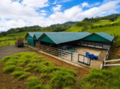 Se vende hermosa finca Ecolodge para vivir,Airbn, negocio,turismo o ganado in Tucurrique, Jiménez, Cartago — $500,000
