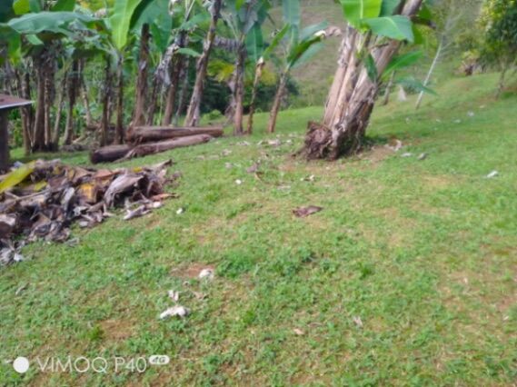 Venta de lote en Páramo, Pérez Zeledón, San José — ₡ 9 000 000