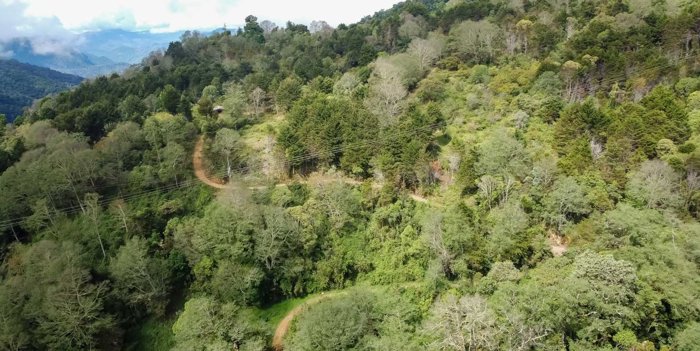 Finca de 594 Hectáreas en Venta Pérez Zeledón Conservación Bosque en La Amistad, Pérez Zeledón, San José — $4,950,400 - Foto 3 de 13