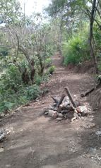 2.2 Ha de bosque cerca del puente del Saprissa in San Juan, Tibás, San José — $1,000,000 - Photo 2 of 9