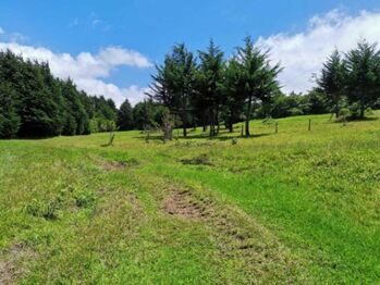 Se vende lote de 7000m2 en San José de la Montaña 23-326 en San José de La Montaña, Barva, Heredia — 130 000 000 ₡ - Foto 5 de 16