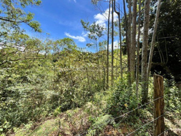 Finca de montaña con quebrada natural y alto potencial en El Guarco Cartago #26-1829 GS in San Isidro, El Guarco, Cartago — $222,222