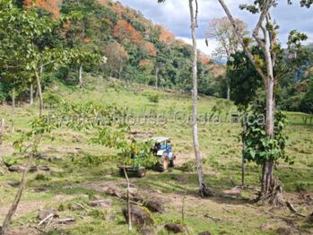 MLS-26-1444 LS VENTA FINCA MURCIA TURRIALBA CONTACTENOS AL # 86127562 in Turrialba, Cartago — $3,500,000 - Photo 4 of 10