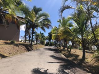 Se vende quinta rodeada de naturaleza en la tranquilidad de occidente en San Miguel, Naranjo, Alajuela — $503,700 - Foto 5 de 45