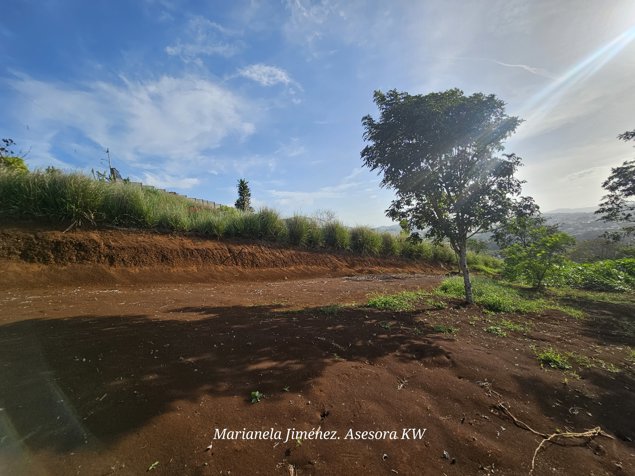 Venta de Lote con Espectacular Vista al Centro San Ramón en San Isidro, San Ramón, Alajuela — ₡ 55 000 000 - Foto 3 de 21