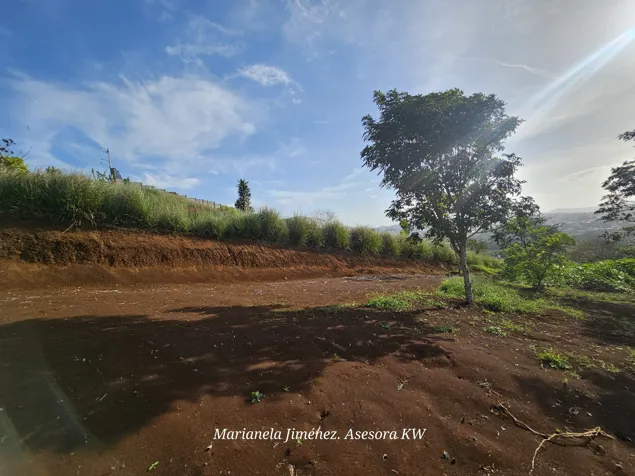 Venta de Lote con Espectacular Vista al Centro San Ramón en San Isidro, San Ramón, Alajuela — ₡ 55 000 000 - Foto 3 de 21