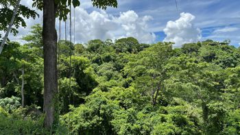 Proyecto Finca del Guanacaste en Bejuco, Nandayure, Guanacaste — $1,945,040 - Foto 5 de 34
