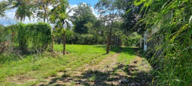 ¡Ganga! Lote plano de 632 m² para construcción - Concepción, Atenas en Concepción, Atenas, Alajuela — ₡ 33 000 000