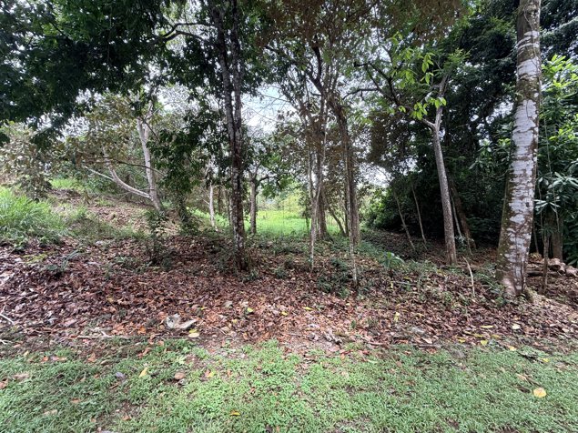 Exclusivo Lote en Comunidad Privada de Playa Costa Esterillos Estates in Parrita, Puntarenas — $175,000 - Photo 3 of 7