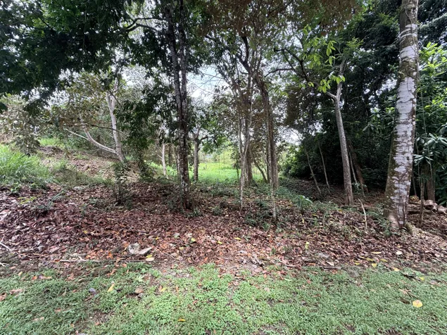 Exclusive Lot in Costa Esterillos Estates Private Beach Community in Parrita, Puntarenas — $175,000 - Photo 3 of 7