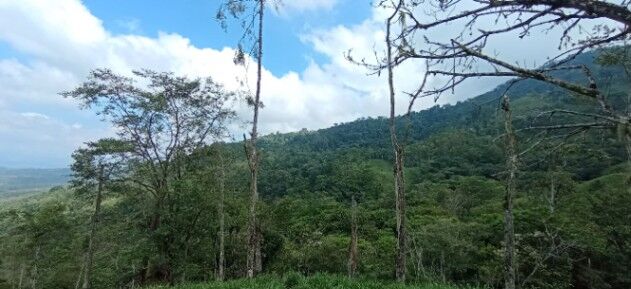 SE VENDE ESPECTACULAR FINCA EN PÉREZ ZELEDÓN.  en San Pedro, Pérez Zeledón, San José — ₡ 225 000 000