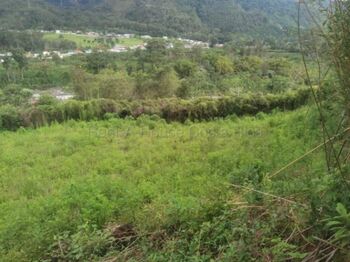 Venta de Lote en Paraíso-Orosí, Cartago.  en Orosi, Paraíso, Cartago — $144,740 - Foto 5 de 6