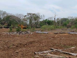 Terreno de 14 hectáreas en la Ceiba de Orotina en La Ceiba, Orotina, Alajuela — 1 410 000 000 ₡ - Foto 3 de 24
