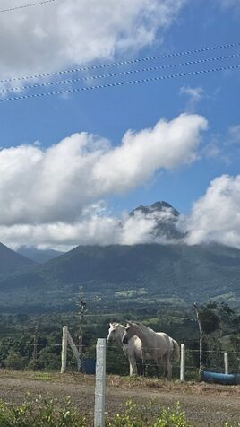 Proyecto con Vista al Volcán 360 y al Cerro chato ☎️ 8751-4191  en La Fortuna, San Carlos, Alajuela — ₡ 150 000 000
