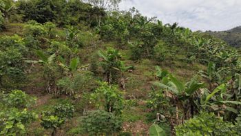 TERRENO LISTO PARA CONSTRUIR CON HERMOSAS VISTAS A LAS MONTAÑAS EN CHIMIROL DE RIVAS en Rivas, Pérez Zeledón, San José — $60,000 - Foto 4 de 15