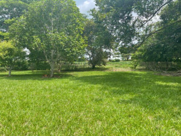 Espectacular Terreno en Jesús María, San Mateo, Alajuela en Jesús María, San Mateo, Alajuela — $82,500