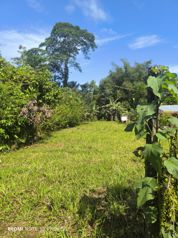 Lote en venta en San Ramon, cerca de la Fortuna, plano en Peñas Blancas, San Ramón, Alajuela — $20,000 - Foto 3 de 30