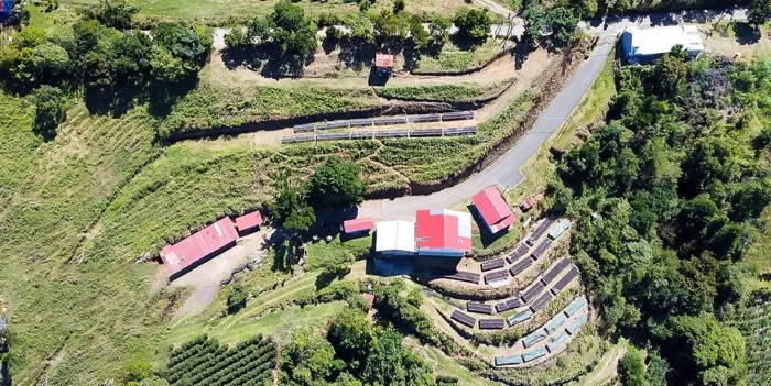 High altitude coffee farm for sale Grecia en Grecia, Alajuela — $2,200,000