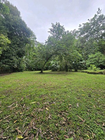 LOTE EN HOME CREEK, LIMON. en Cahuita, Talamanca, Limón — $128,000