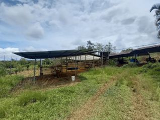 Finca con Casa Cabaña en Paraíso de Cajón, Pérez Zeledón en Cajón, Pérez Zeledón, San José — $350,000 - Foto 5 de 20