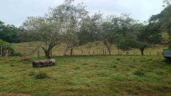 SE VENDE ÚTIL FINCA EN CUTRIS DE SAN CARLOS. en Cutris, San Carlos, Alajuela — 205 000 000 ₡ - Foto 2 de 5