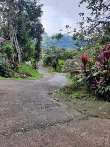 BELLA PROPIEDAD CON LOCAL COMERCIAL EN TABARCIA DE MORA.  en Tabarcia, Mora, San José — ₡ 90 000 000